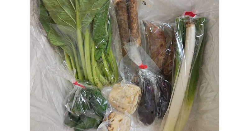 おうちコープ「グリーンボックス」７種の野菜